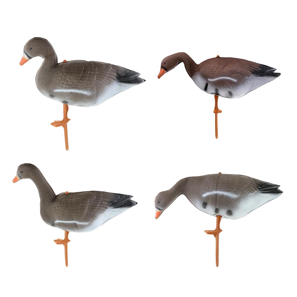 Collapsible Turkey Goose Decoy - Hunting Outdoors recension och pris