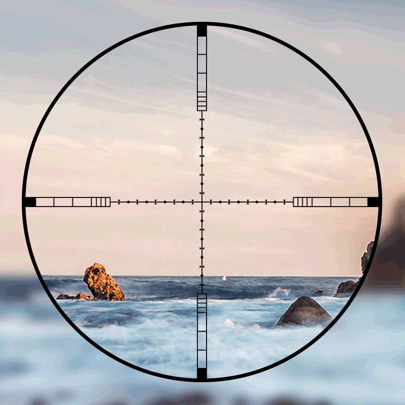 DIANA 4-16x44 Tactical Riflesc - Outdoor Hunting Lab recension och pris